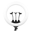 Лампа Fill Light 56cm Remote Bag ZB-F488 + посилений штатив